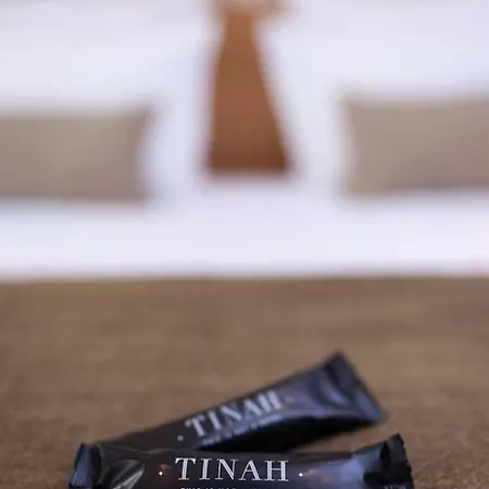 Tinah Paris, Champs Elysees Buitenkant foto